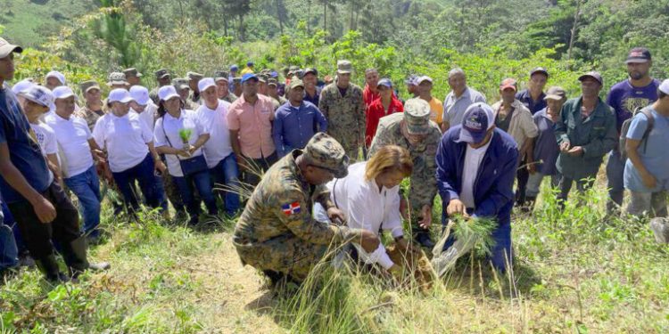 Plan Nacional de Reforestación impacta en todo el país, dice Medio Ambiente