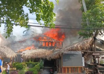 Un incendio afectó una plaza en Las Terrenas