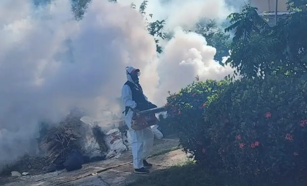 En últimos siete años, la RD con casi 50 mil casos dengue
