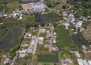 La explosión inmobiliaria se come terrenos agrícolas dominicanos
