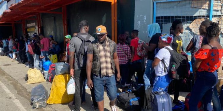 Dajabón: Decenas de haitianos buscan ir a su país y del otro lado reanudan construcción del canal