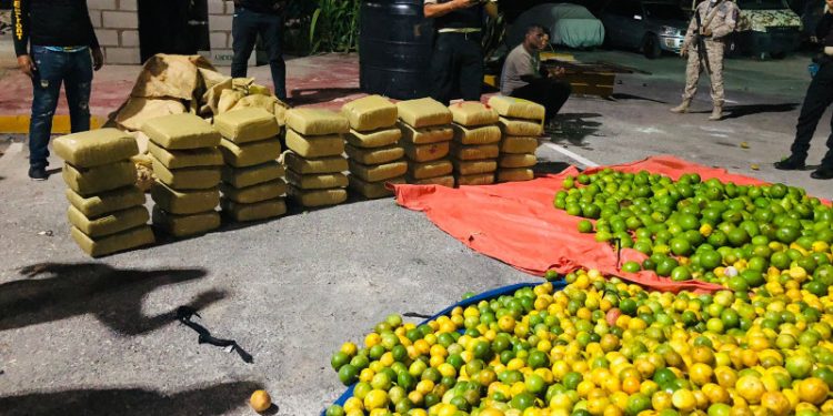 Cesfront decomisa 390 libras de marihuana en sacos de chinola, aguacate y naranjas en Pedernales