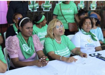 Organizaciones civiles demandan permitir el aborto en condiciones seguras 