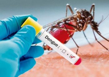Dengue no da tregua; 159 ingresos en tres hospitales pediátricos
