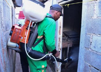 Ante alerta brote de dengue se inician jornadas en el país