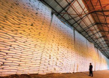 Informan llegan 20 mil toneladas de azúcar por el puerto de La Romana