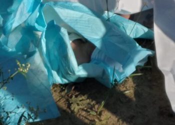 Propietario de funeraria dice entregaron cuerpos de neonatos a "zacateca", pero éste no los sepultó