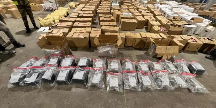 Pretendían enviar 39 paquetes de marihuana a Puerto Rico