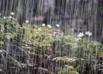 Vaguada continuará generando lluvias en gran parte de la República Dominicana