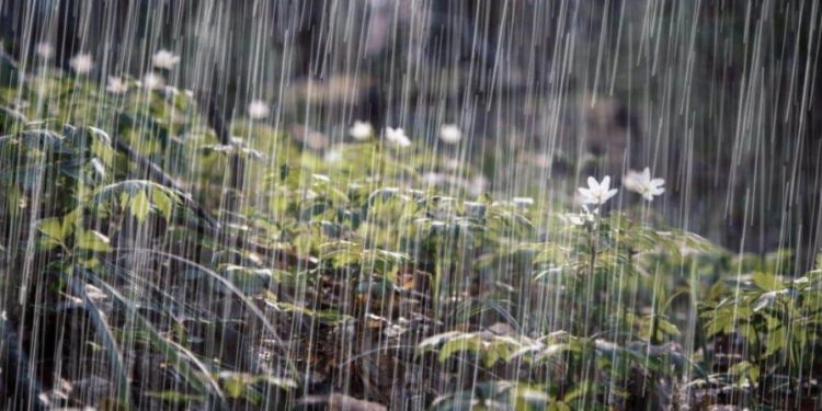 Vaguada continuará generando lluvias en gran parte de la República Dominicana