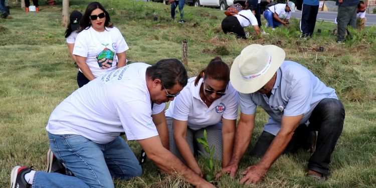 Coraasan y Medio Ambiente realizan jornada de siembra en la zona norte de Santiago