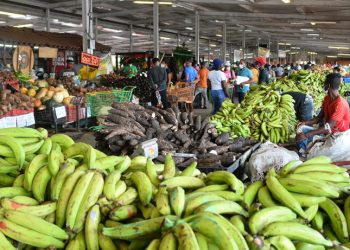 BCRD: inflación interanual bajó a 4.0 % en noviembre