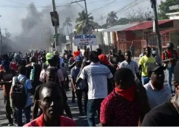 ONU declara que haitianos en riesgo deben ser protegidos con estatuto de refugiados