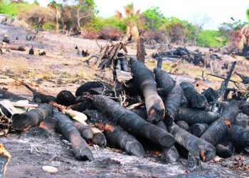Las Dunas de Baní en ruta a desaparecer por talas y quemas indiscriminadas
