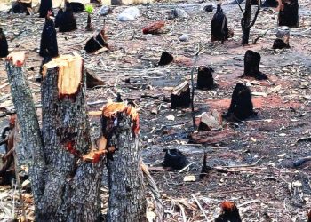 Baní defenderá Dunas y luchará para que sea un parque nacional bien protegido