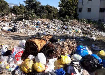 Basureros siguen afectando sectores de Santiago; temen brotes enfermedades
