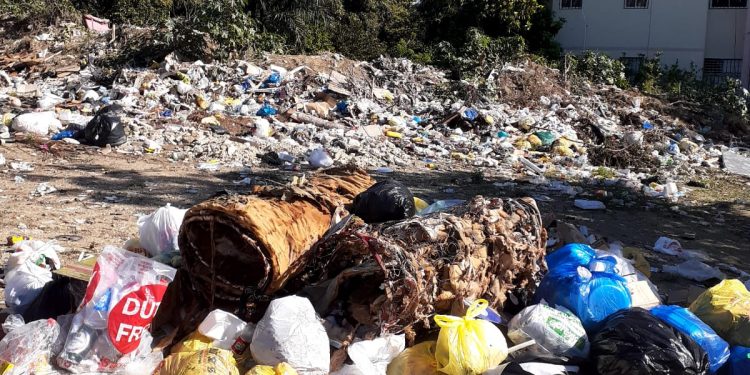 Basureros siguen afectando sectores de Santiago; temen brotes enfermedades