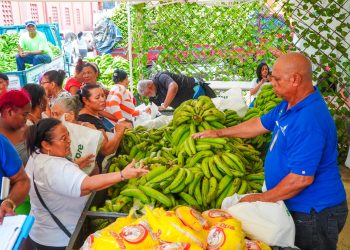 Compran 14 millones plátanos a productores afectados por lluvias