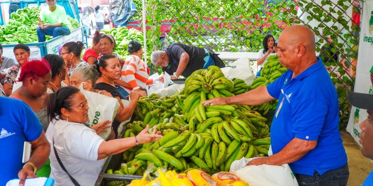 Compran 14 millones plátanos a productores afectados por lluvias