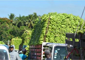 Inespre firma acuerdo con Adobanano