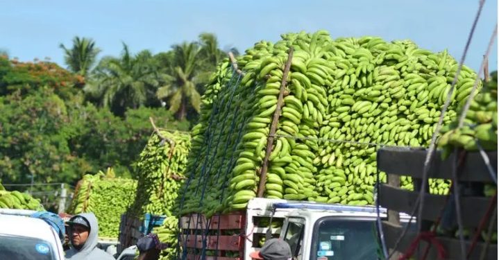 Inespre firma acuerdo con Adobanano