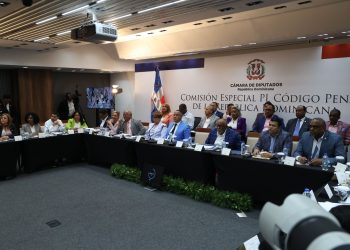 Vistas públicas Código Penal entre provida y proabortos