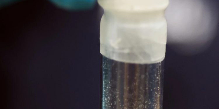 Abinader dispone extradición a EE.UU. para dominicano acusado de posesión y distribución de fentanilo