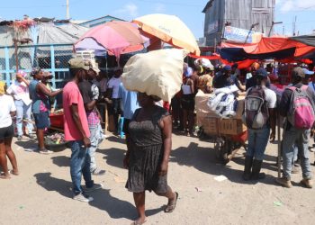 Autoridades anuncian medidas de seguridad ante sospecha de brote de Ántrax en Haití
