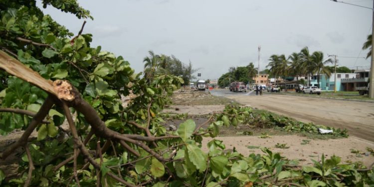 COE reporta 89 desplazados, 57 acueductos fuera de servicios y otros daños por Beryl