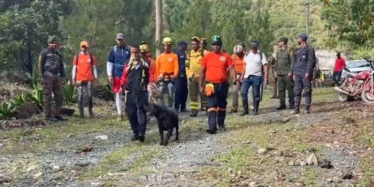 Un perro, más de 30 personas, drones y un helicóptero continúan búsqueda de Trinidad de la Cruz
