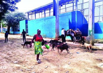 Invisibles: Cientos están sin declarar en Santiago Oeste