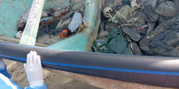 Osamentas halladas son de africanos