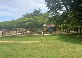 Opciones del Parque Central de Santiago