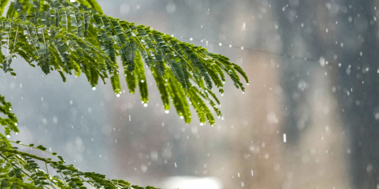 Vaguada podría generar aguaceros la tarde de este martes, Día de las Mercecedes