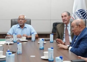 El Minerd hará consulta para Plan Horizonte