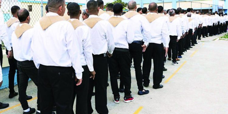 Cerca de 250 privados de libertad están estudiando Derecho