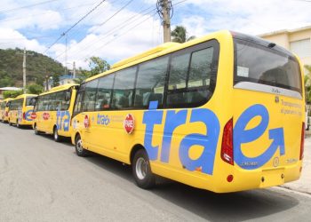 Minerd llamará a licitación de autobuses