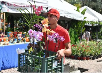 Jardín Botánico inicia tradicional Festival Nacional Plantas y Flores