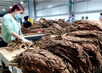 Zonas francas le dan a República Dominicana posición mundial estelar