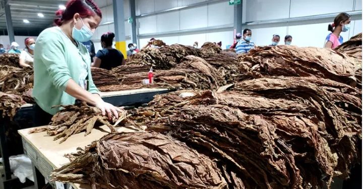 Zonas francas le dan a República Dominicana posición mundial estelar