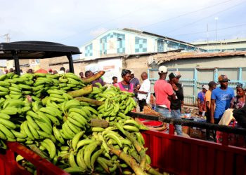 Mercados son la fuente de acopio para haitianos