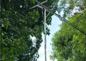 Indotel hará jornadas para dotar a usuarios de cajas convertidoras