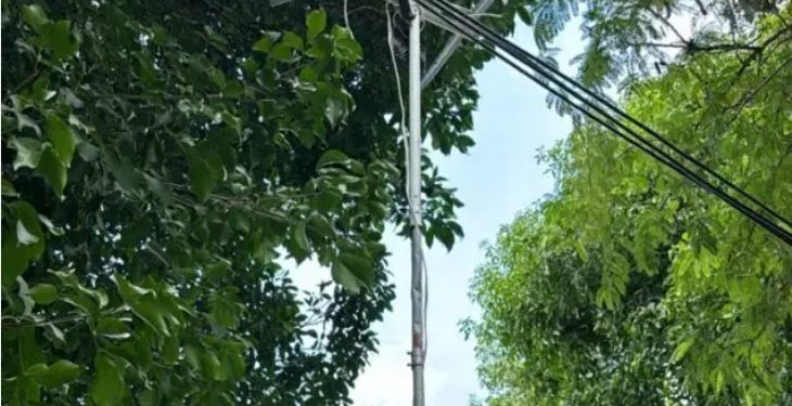 Indotel hará jornadas para dotar a usuarios de cajas convertidoras