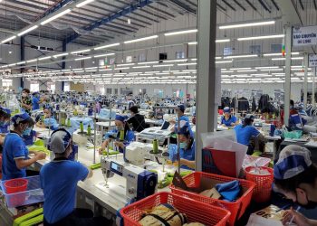 Zonas Francas es el sector que más creció en 2024, según el BC