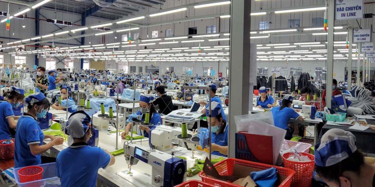 Zonas Francas es el sector que más creció en 2024, según el BC