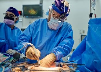 22 familias donaron órganos vitales