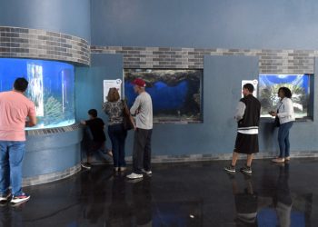 El Acuario Nacional reabre sus puertas tras un año en remodelación