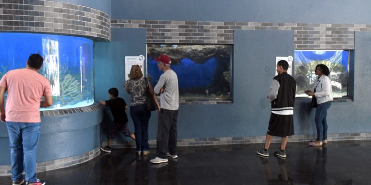 El Acuario Nacional reabre sus puertas tras un año en remodelación