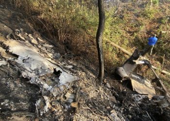 Siete muertos por desplome de avioneta en el oeste de México