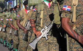 Ejército arresta presunto cabecilla de red de tráfico de indocumentados en la región Sur del país